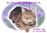 ラムちゃんのメモリアル写真　ペット葬儀日：２０１０年４月６日　千葉県よりご依頼